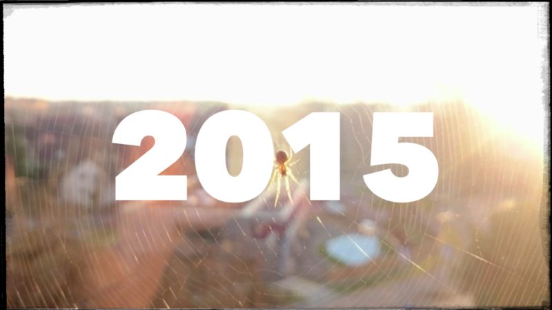 2015. Ein Rückblick – Dadanaut