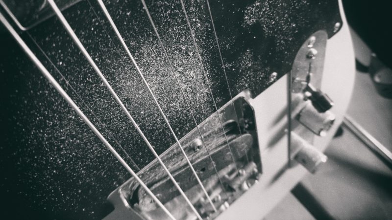 Die Telecaster – Dadanaut