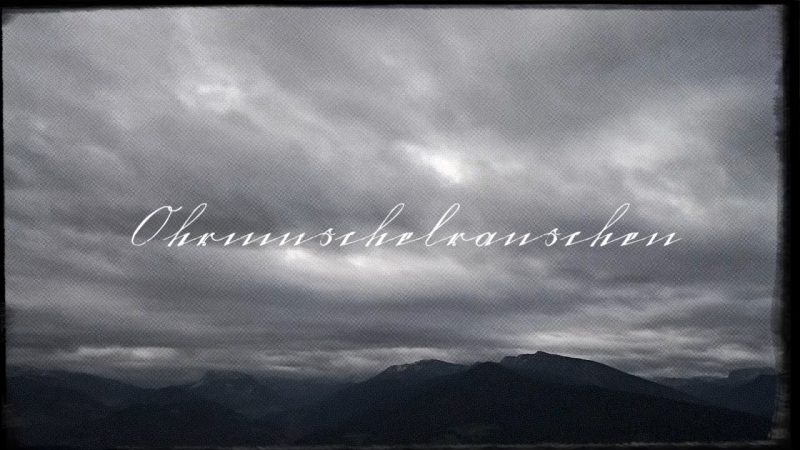 Ohrmuschelrauschen – Ein Lied von Dadanaut