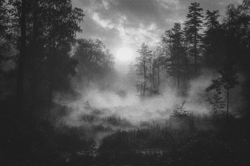 Phantasmagorien