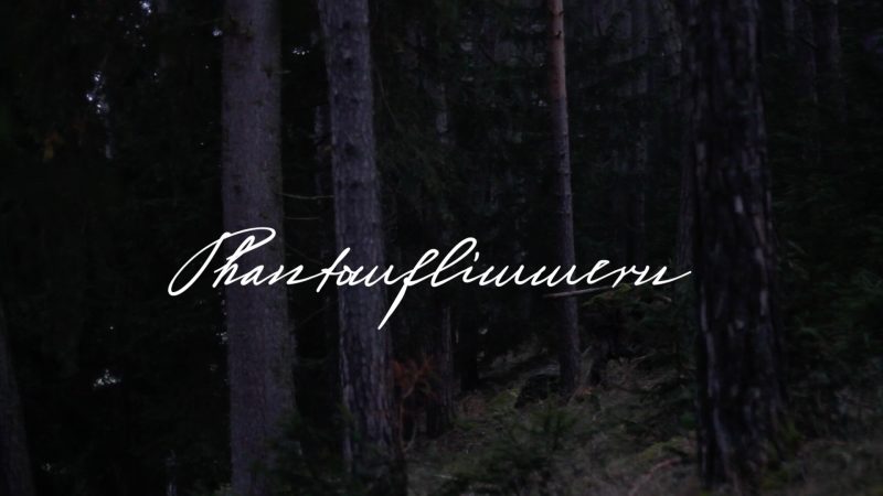 Phantomflimmern – wenn das Gehirn flackert