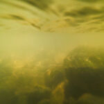 Lieblingsfurt im Baumbachtal, kurz vor Wahlheim